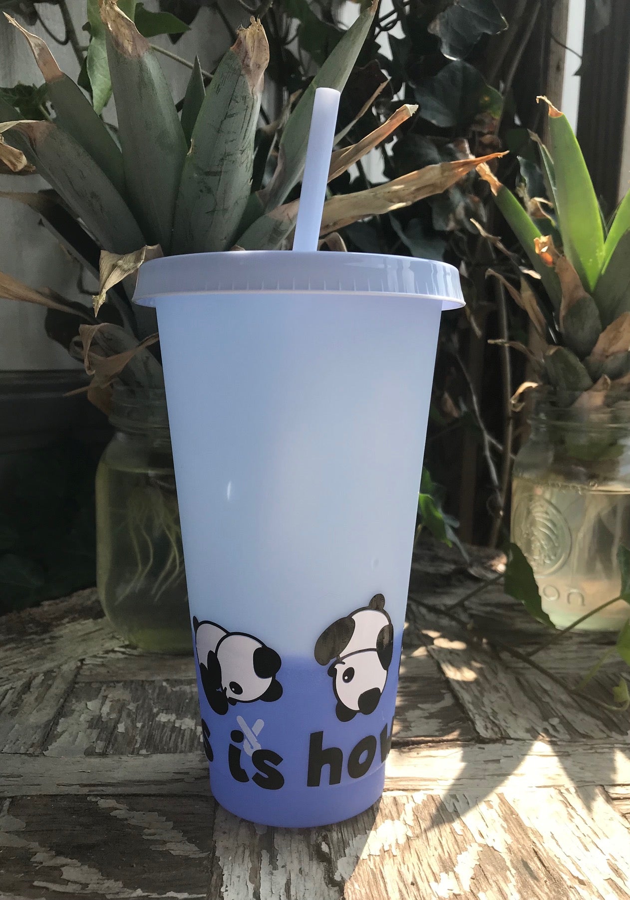 PANDAS 24 oz color changing cold cup