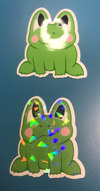regular or holographic- Froggy