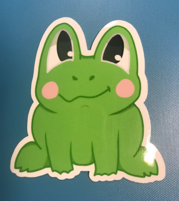 regular or holographic- Froggy