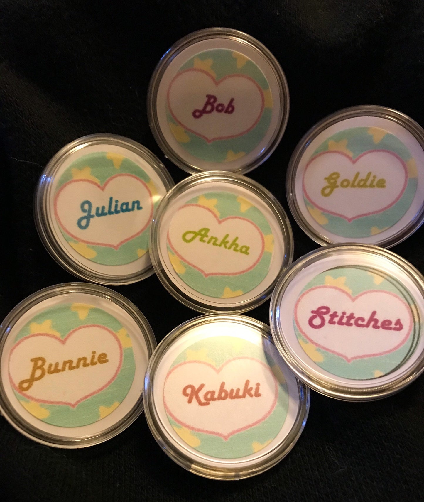 Animal Crossing New Horizons amiibo coins with case