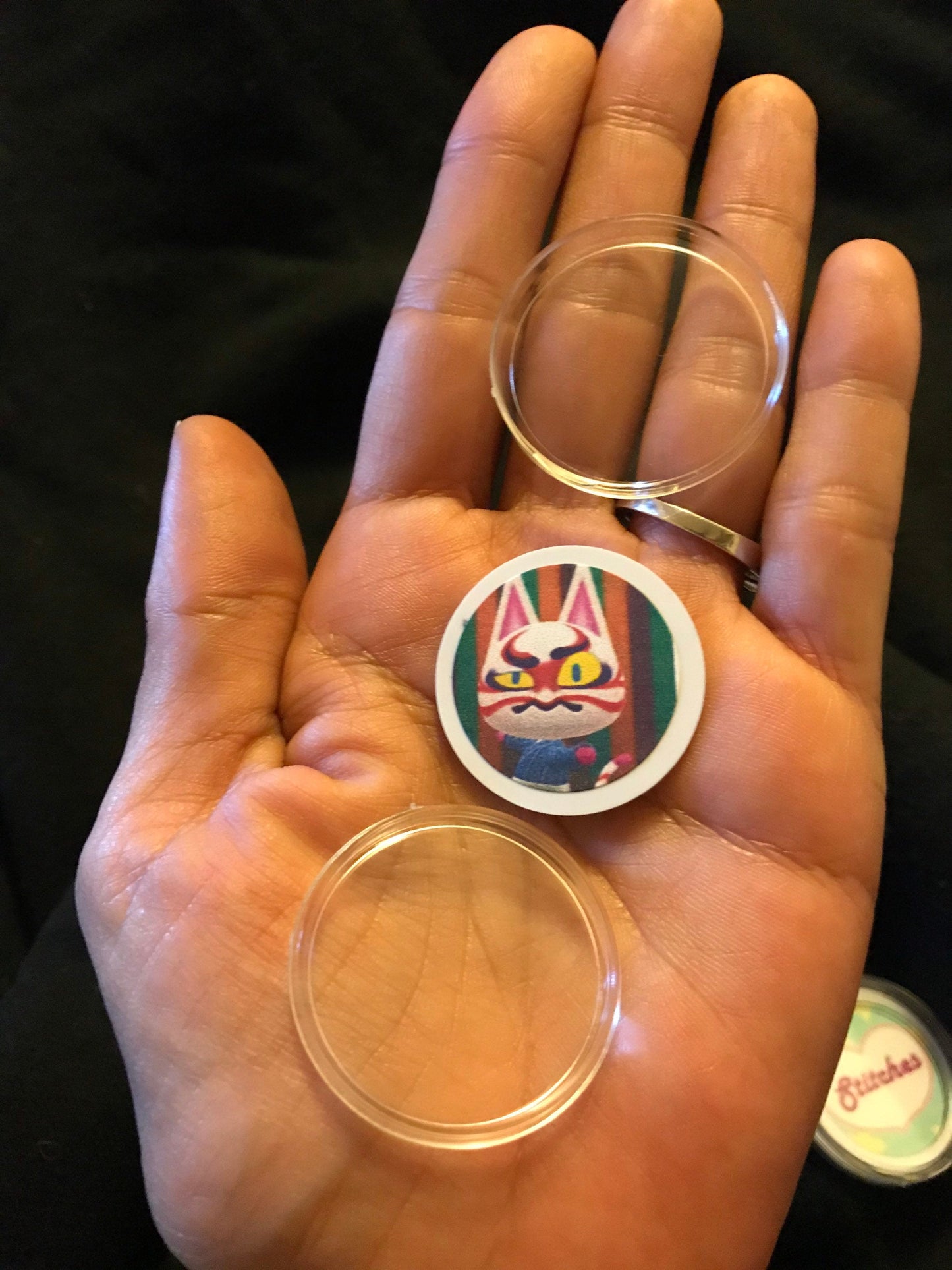 Animal Crossing New Horizons amiibo coins with case